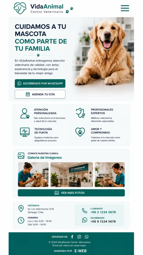 Vista demostrativa de Veterinaria