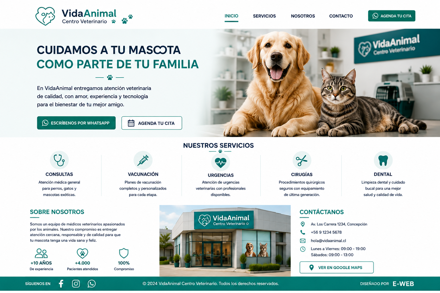 Vista de Veterinaria Amiga